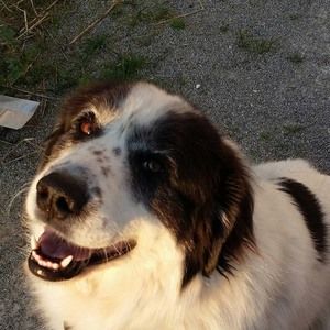 Meet your Posher, Jan